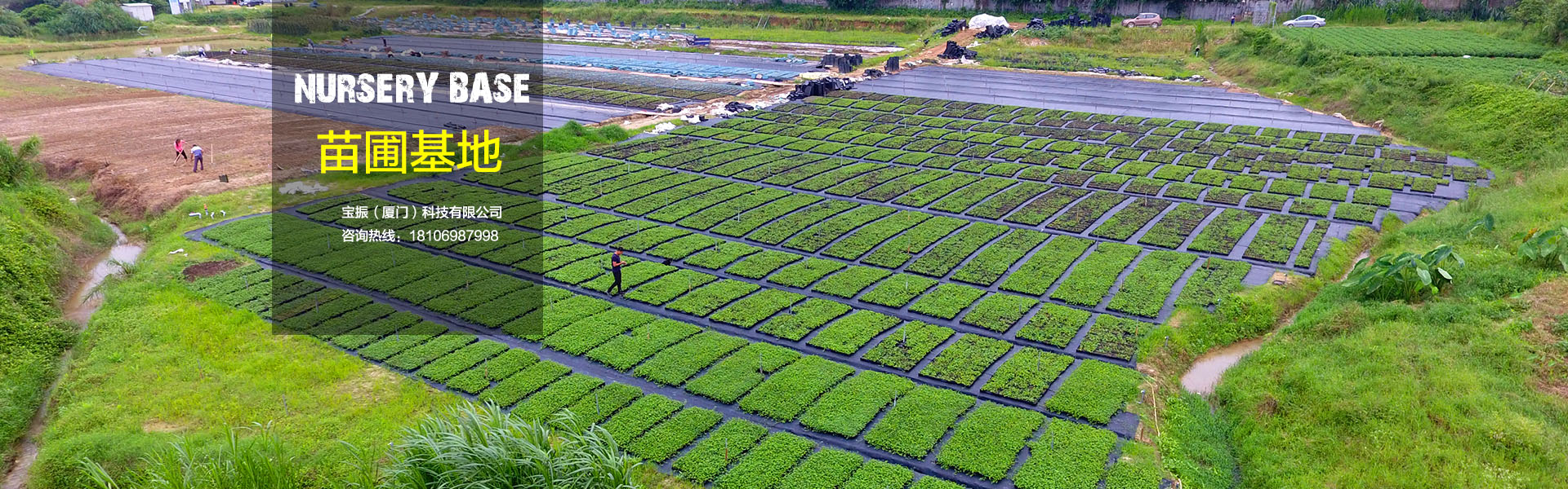 寶振苗圃基地